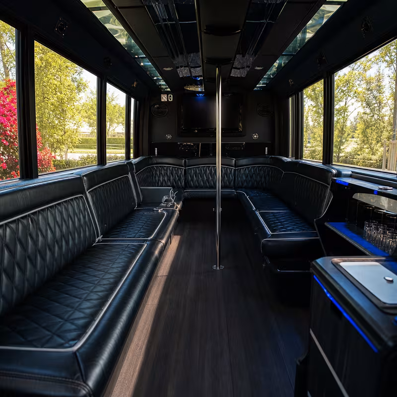 Passenger watching the Fort Wayne scenery during a regional party bus road trip