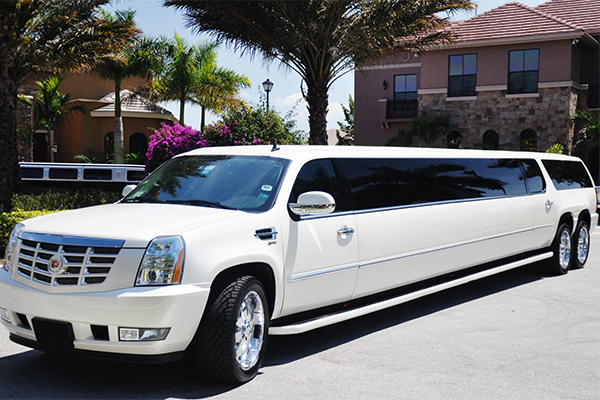 Fort Wayne 20 Passenger Limo